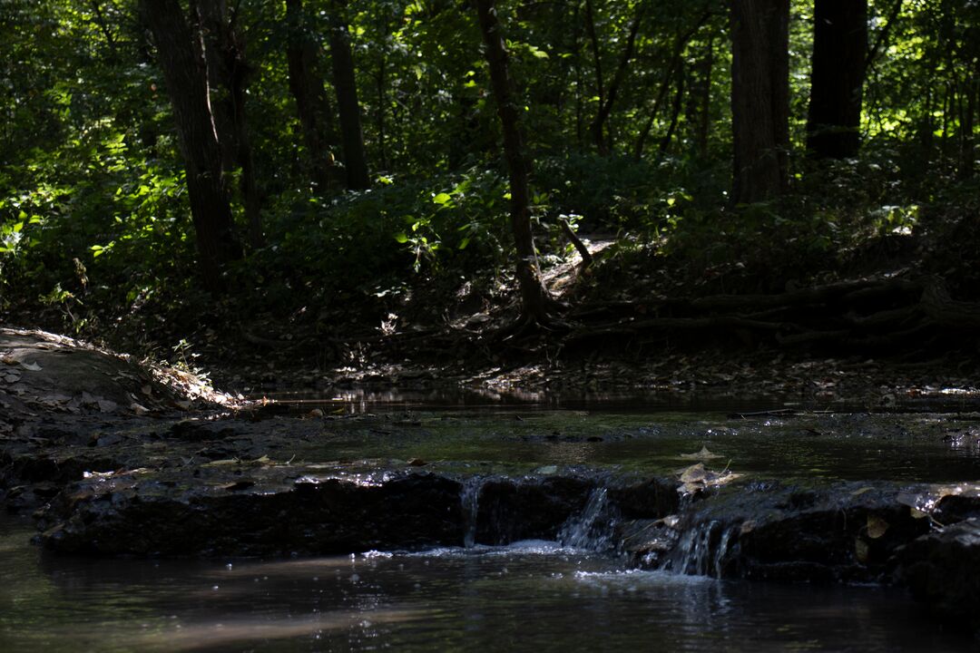 Platte River State Park