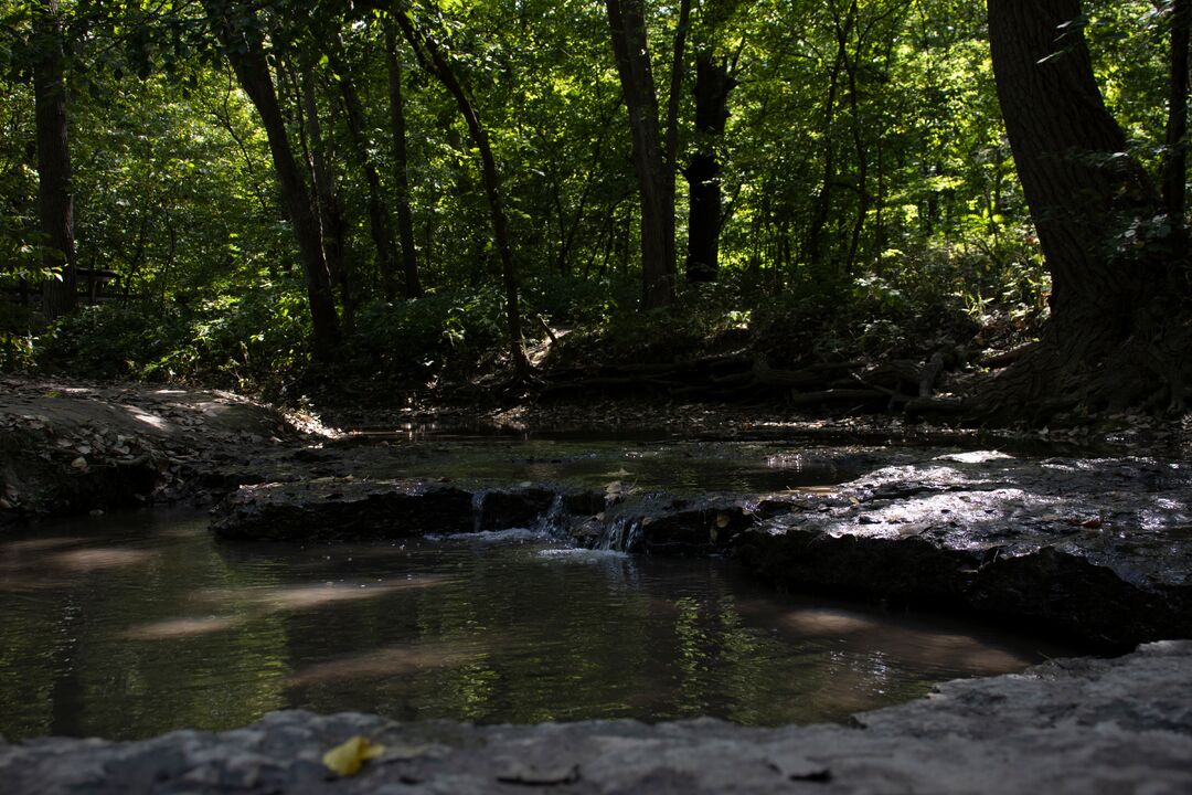 Platte River State Park