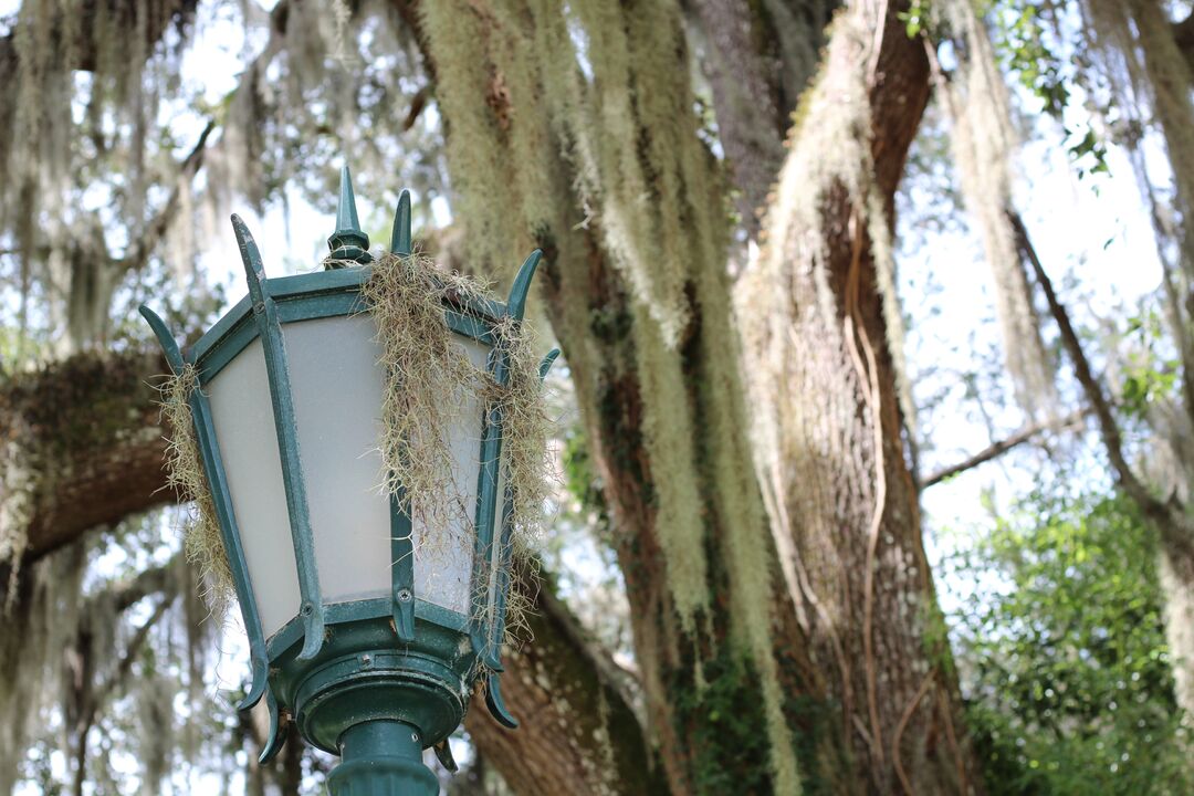 Chinsegut Hill Lamp post