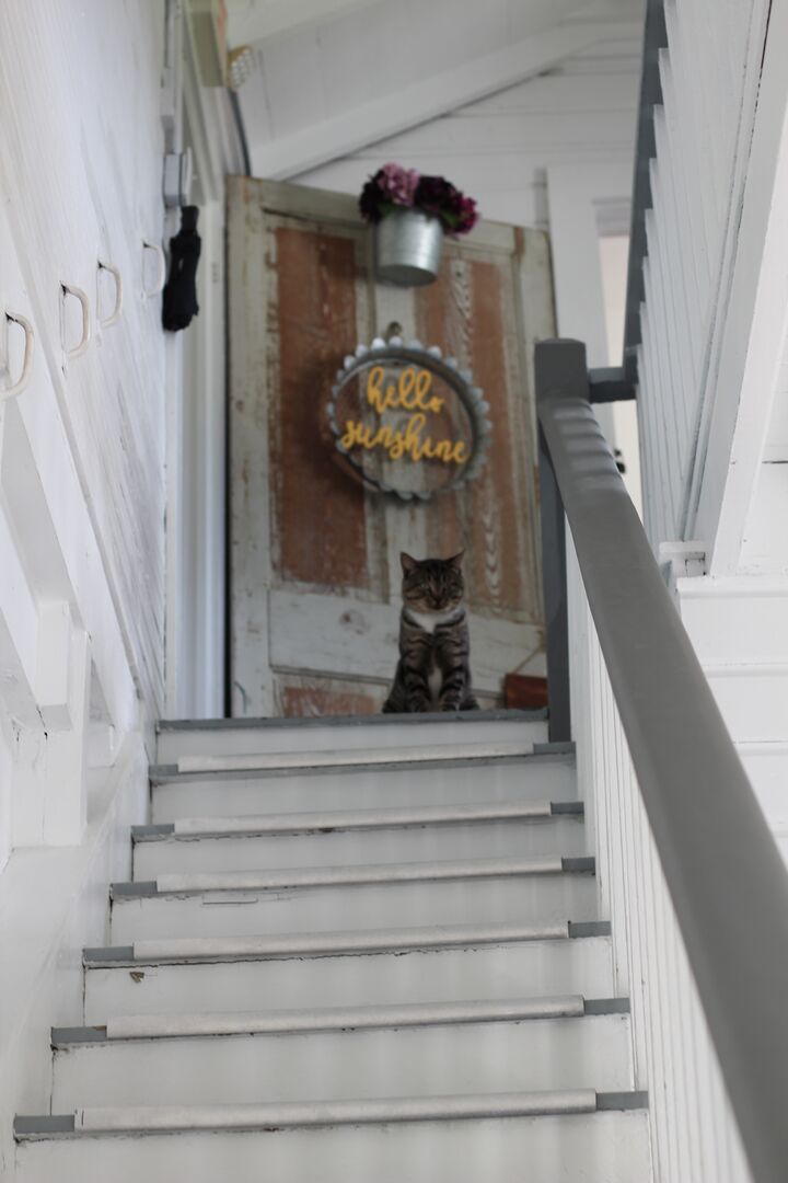 chinsegut hill Main house steps