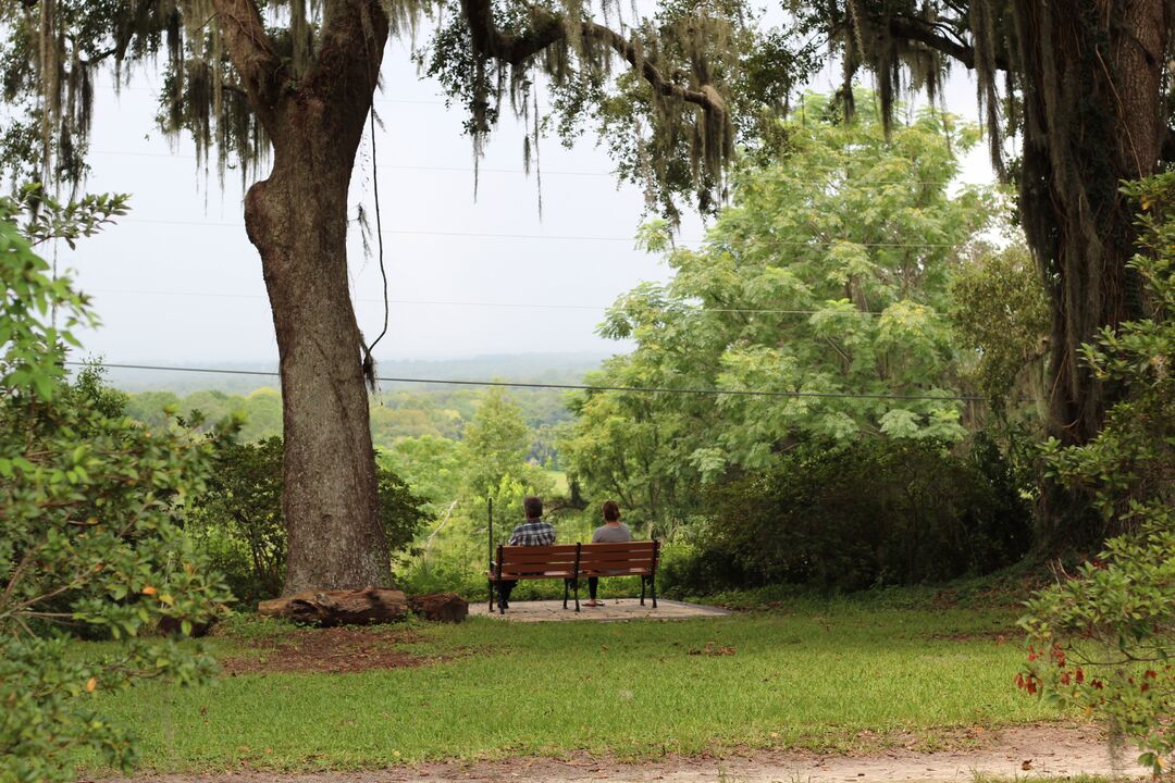 Chinsegut Hill View