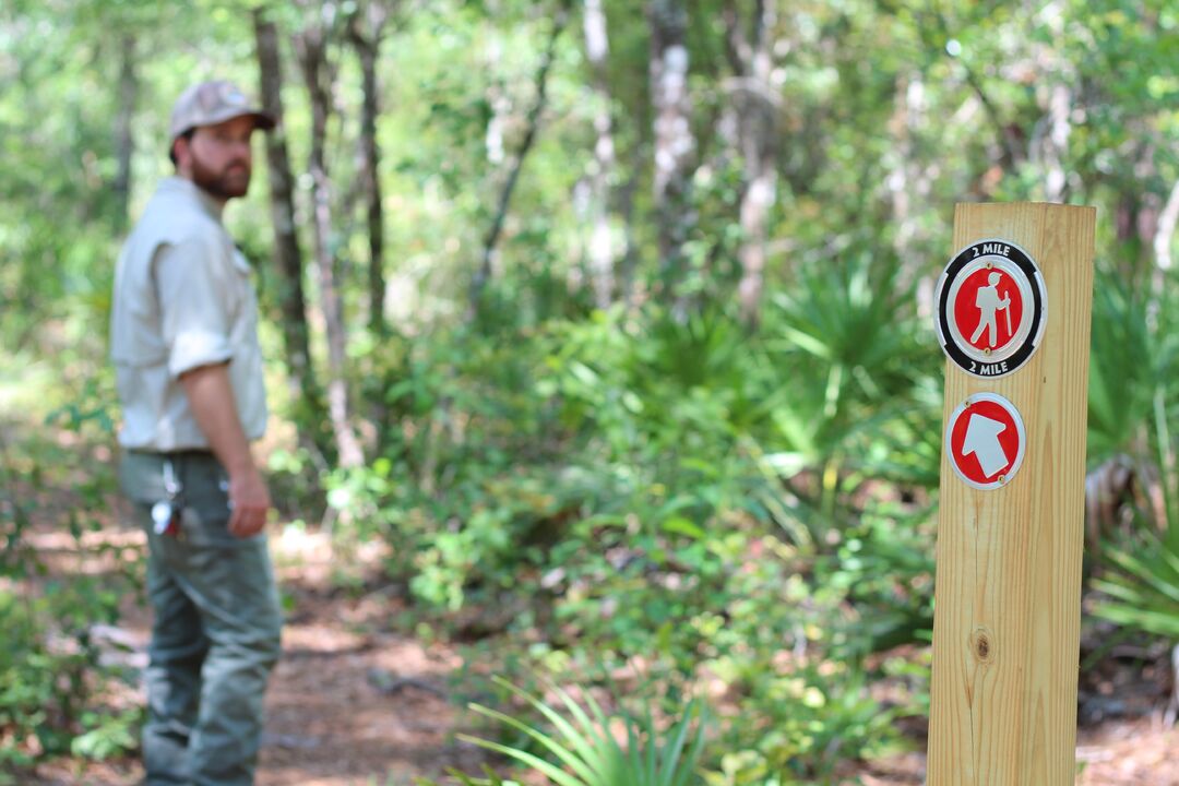 Fickett Hammock Preserve Tour