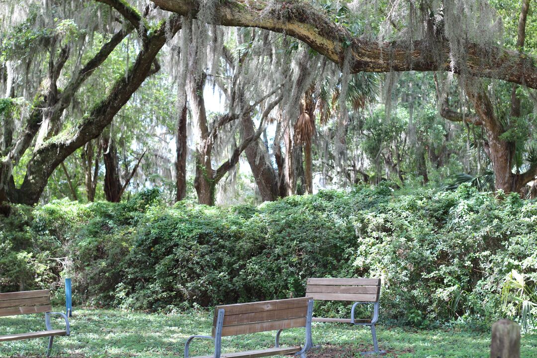 Chinsegut Hill Cemetery Benches