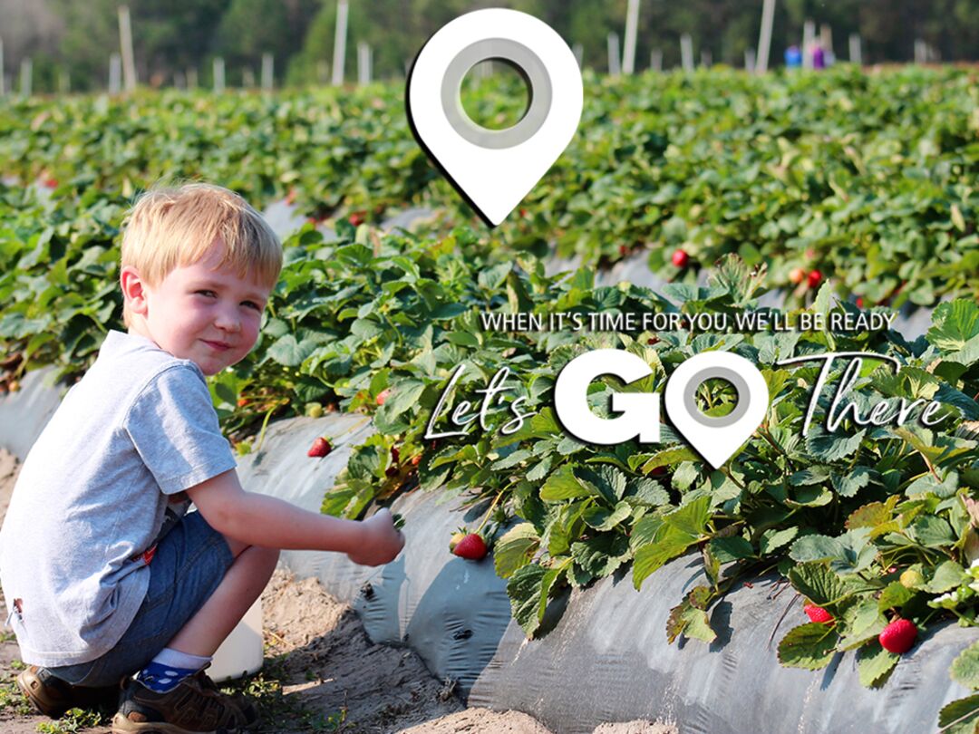 Boy picking strawberries at JG Ranch, Florida's Adventure Coast