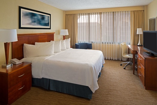 Embassy Suites King Room