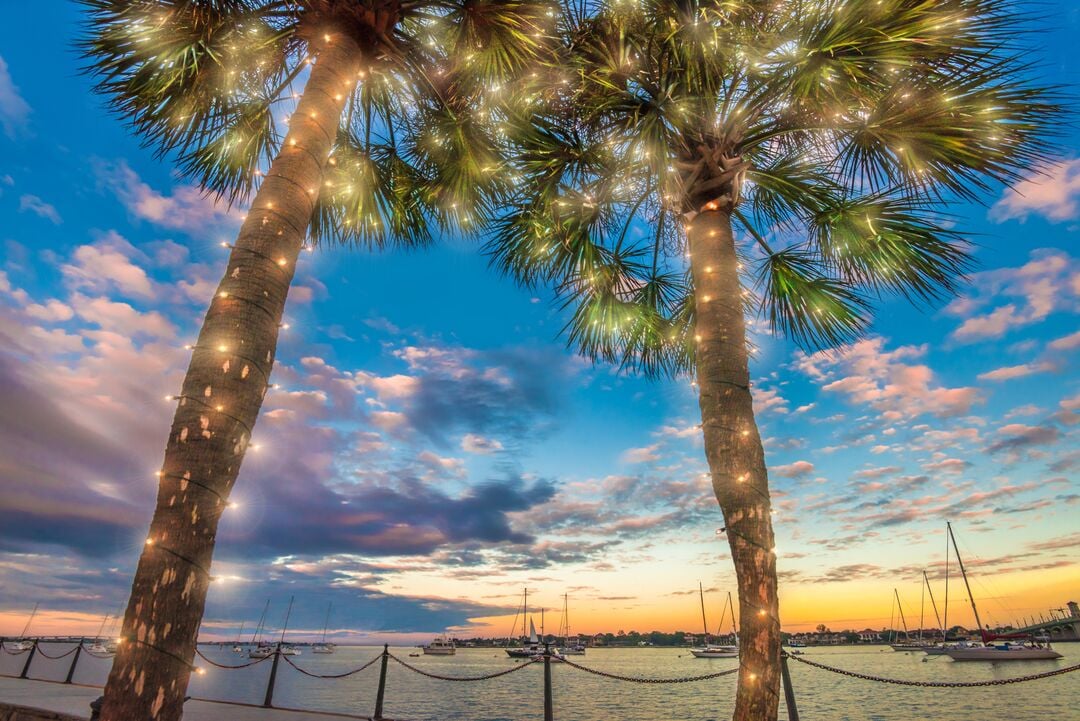 NOL Bayfront Palms