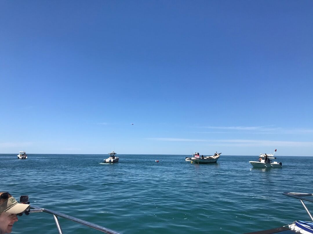 Ghost Ship Towing, boat group