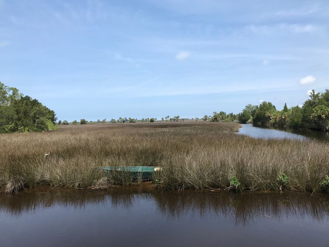 bayport marsh lands