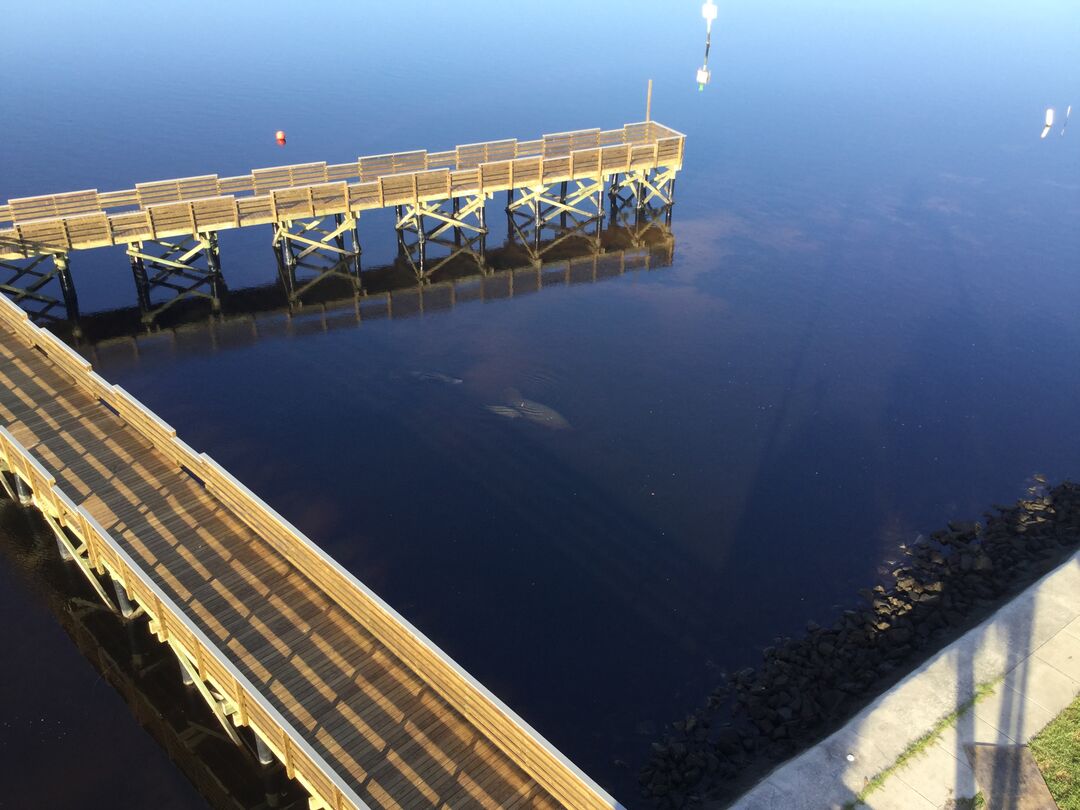 New Bay Port Pier Ariel Views