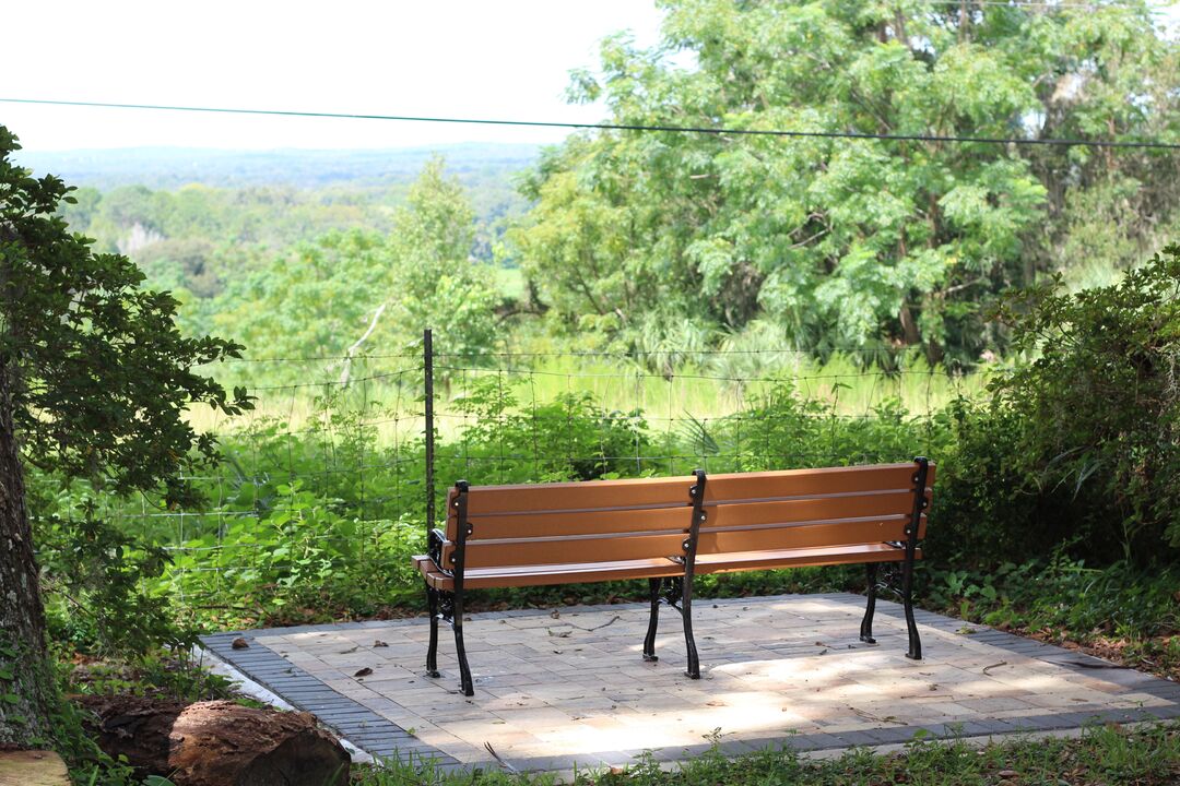 Chinsegut Hill Overlook Bench