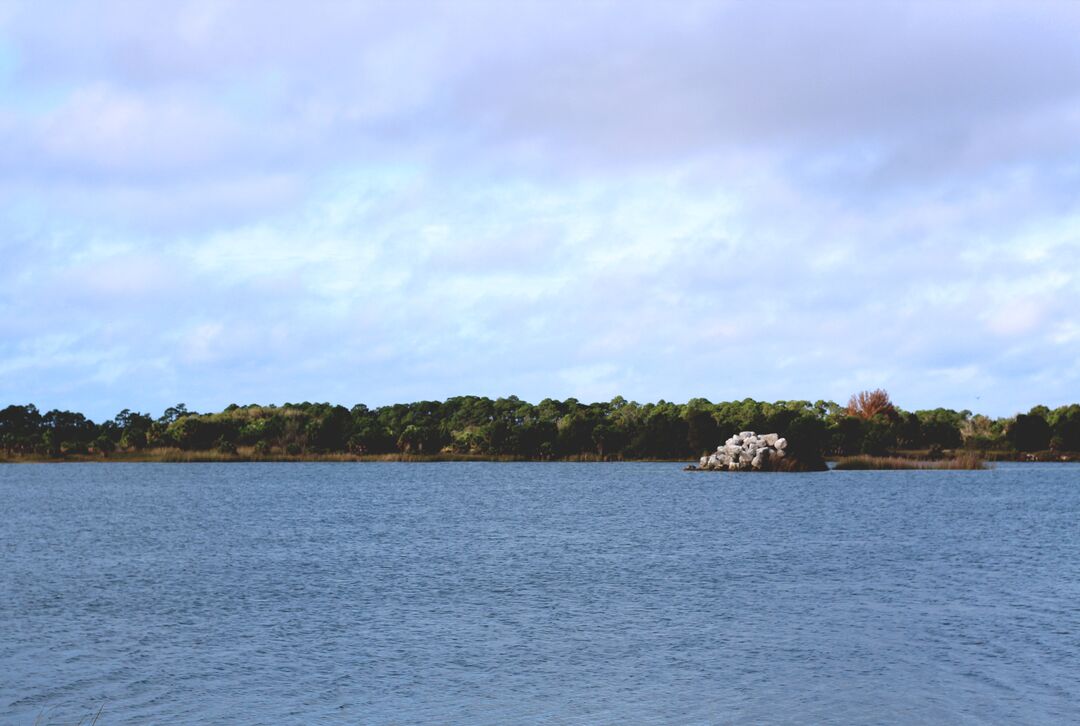 Weekiwachee Preserve Lake Rockpile 1