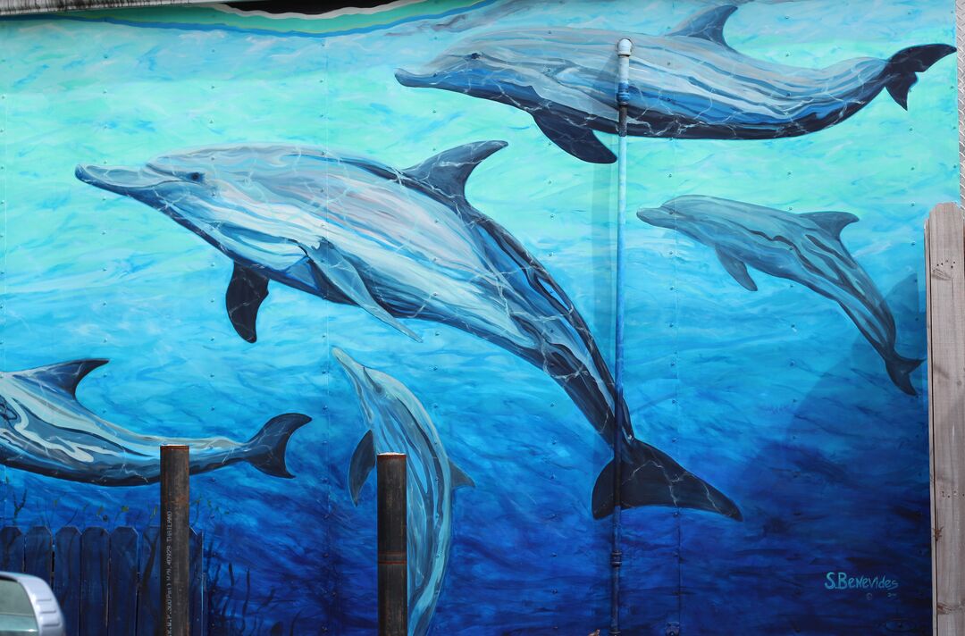 Mural at the Silver Dolphin Restaurant, Hernando Beach, FL