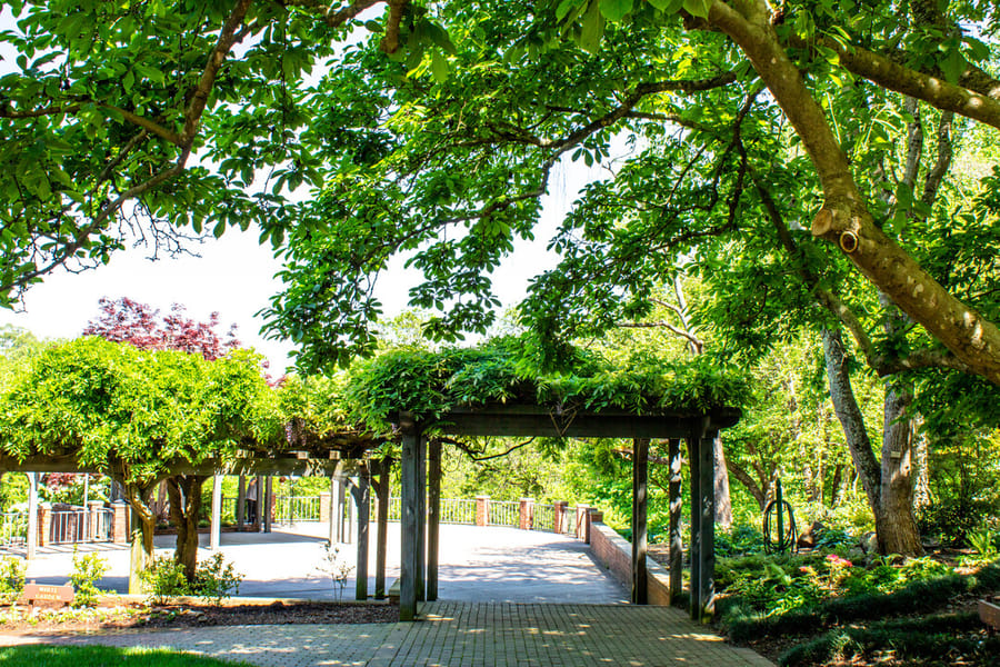 Tanglewood Park Arboretum