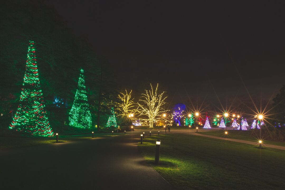 Longwood Gardens Christmas