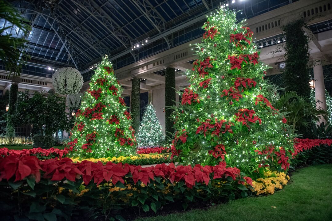 Longwood Gardens Christmas