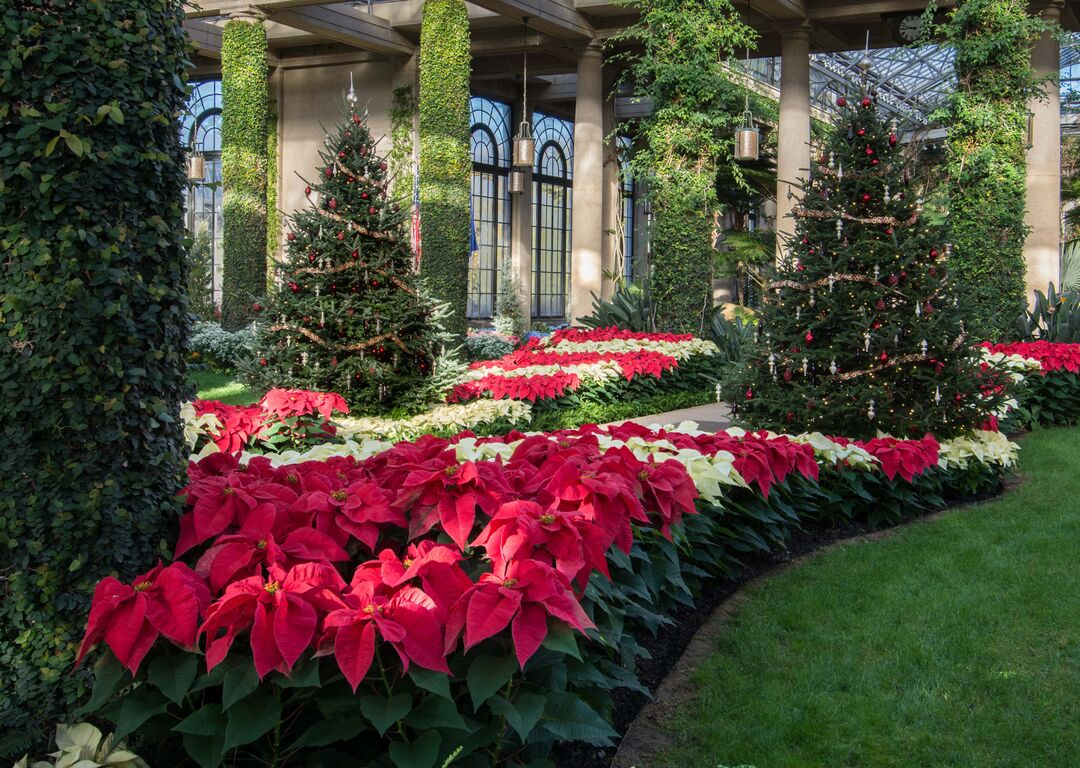 Longwood Gardens Christmas