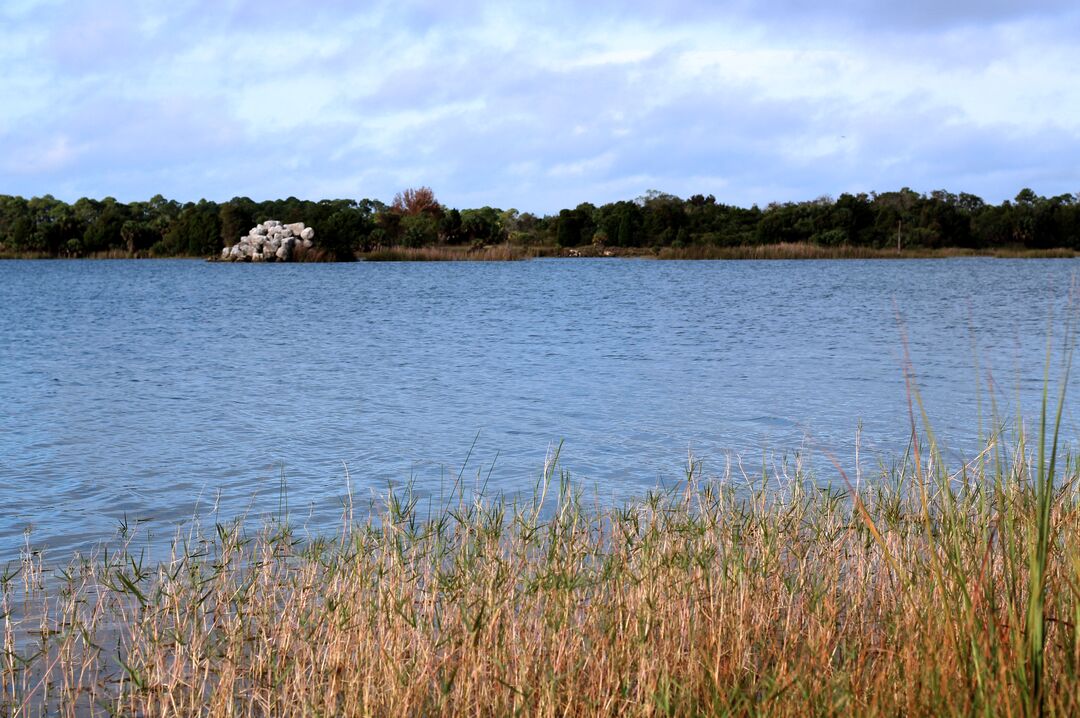 Weekiwachee Preserve Lake Rockpile 2