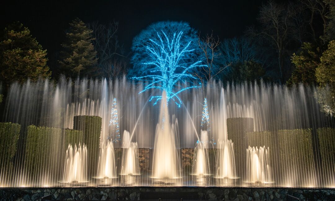 Longwood Gardens Christmas