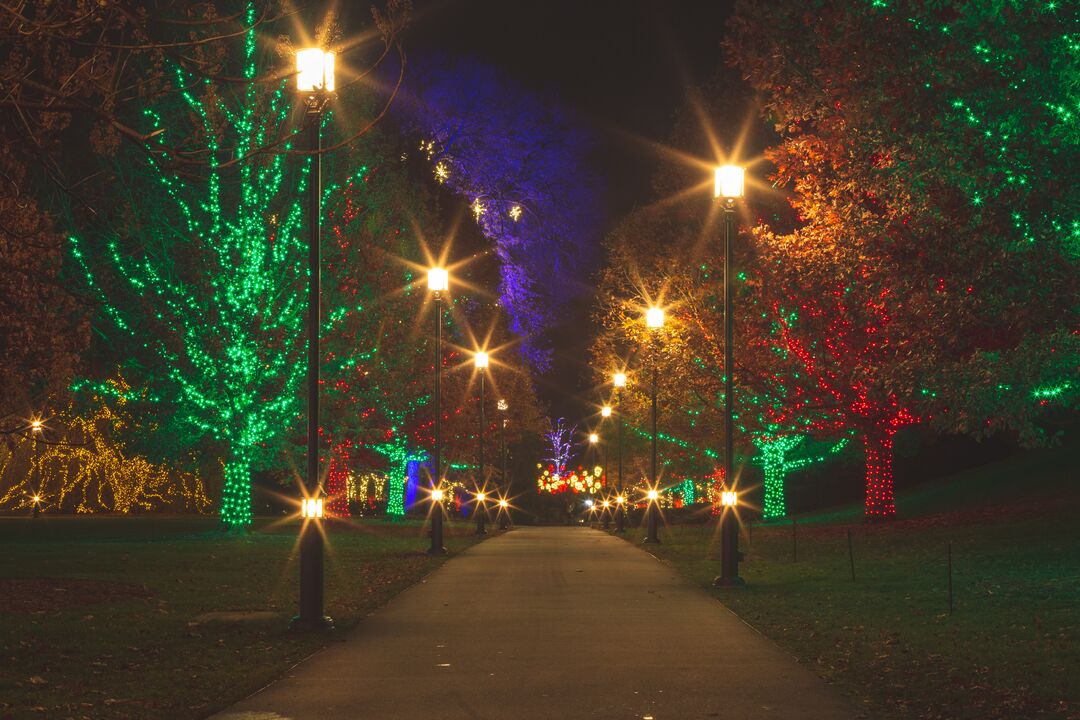 Longwood Gardens Christmas