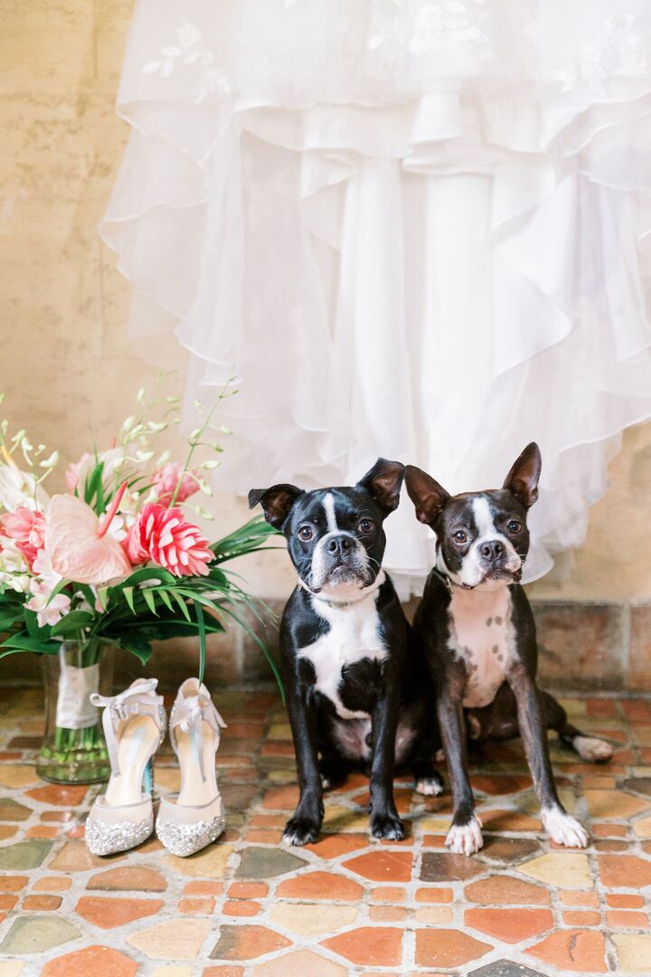 Megan & Matthew - Cornelia Zaiss Photography