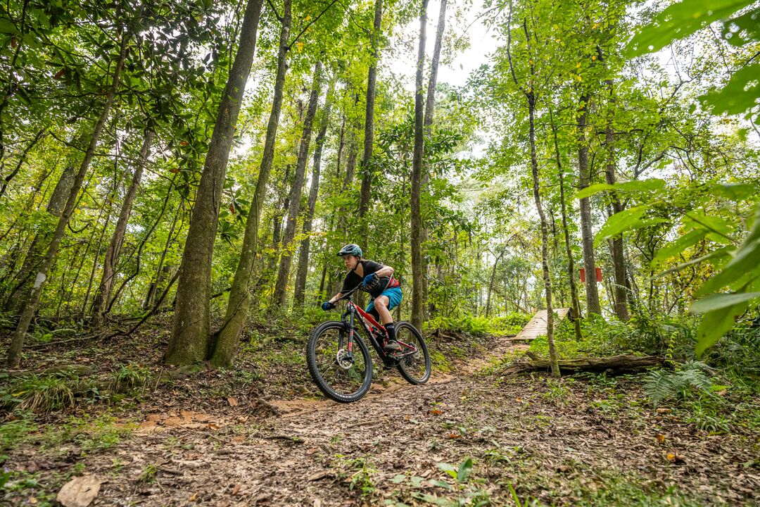 Mountain Biking