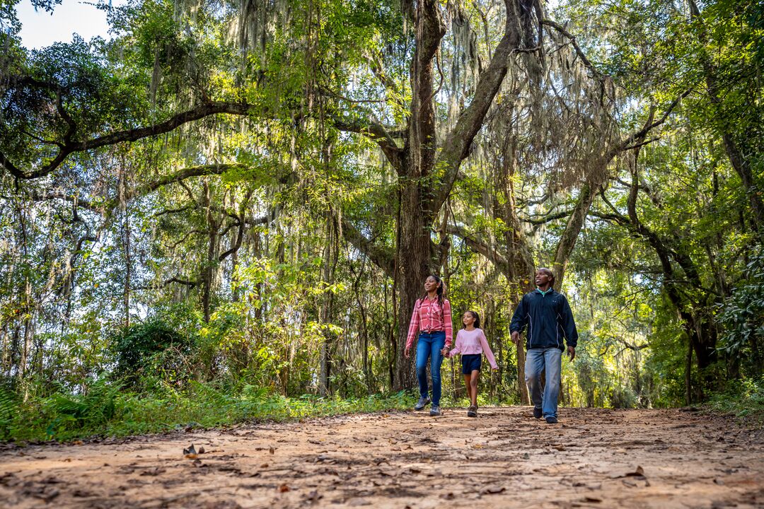 hiking trails