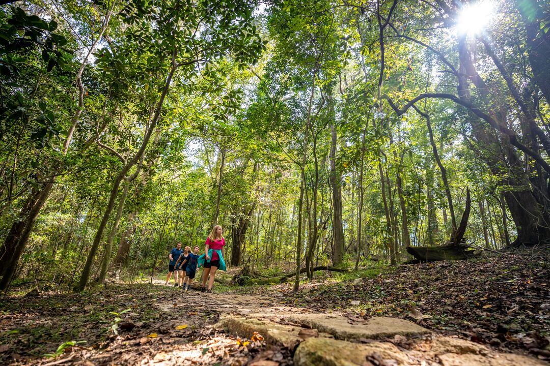 hiking trails