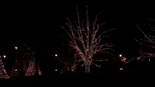 Longwood Gardens Christmas Holidays