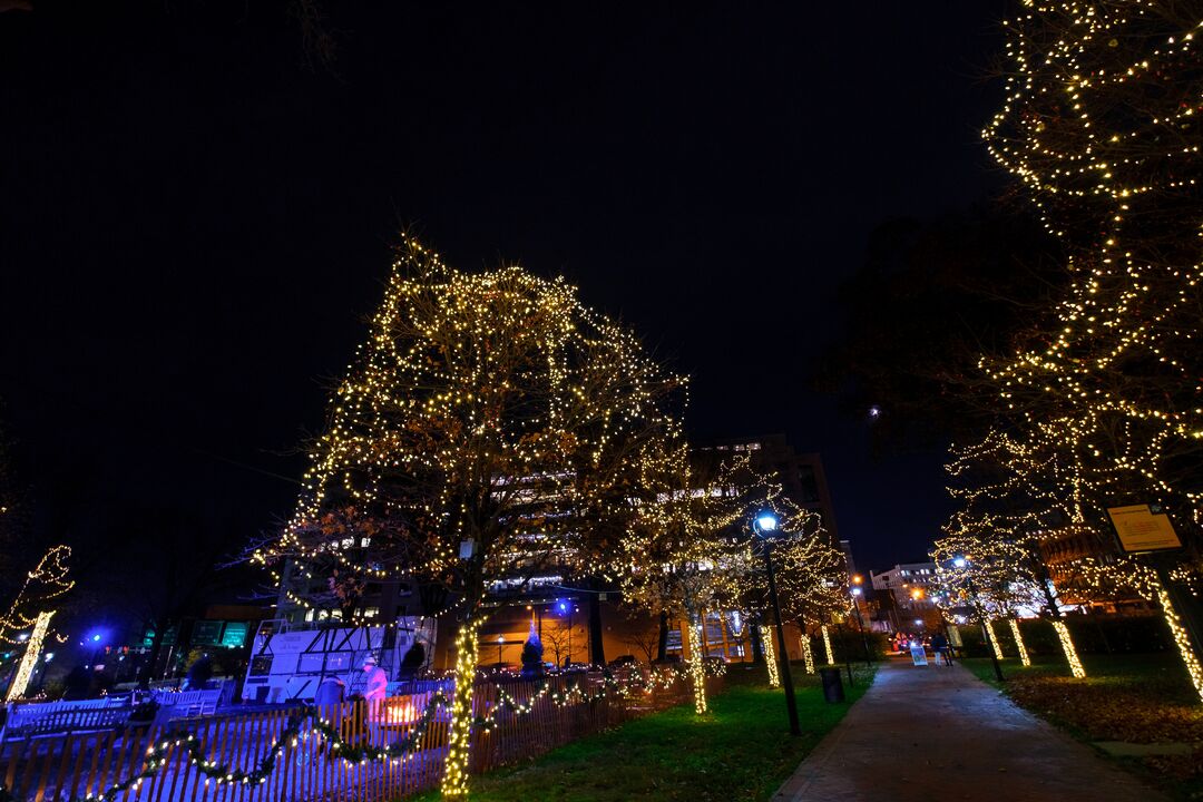 Electrical Spectacle at Franklin Square