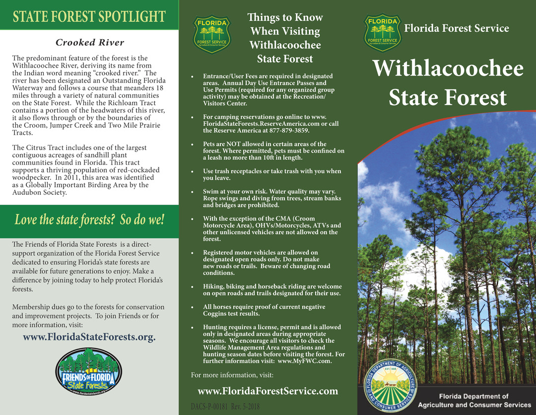 Withlacoochee State Forest Brochure