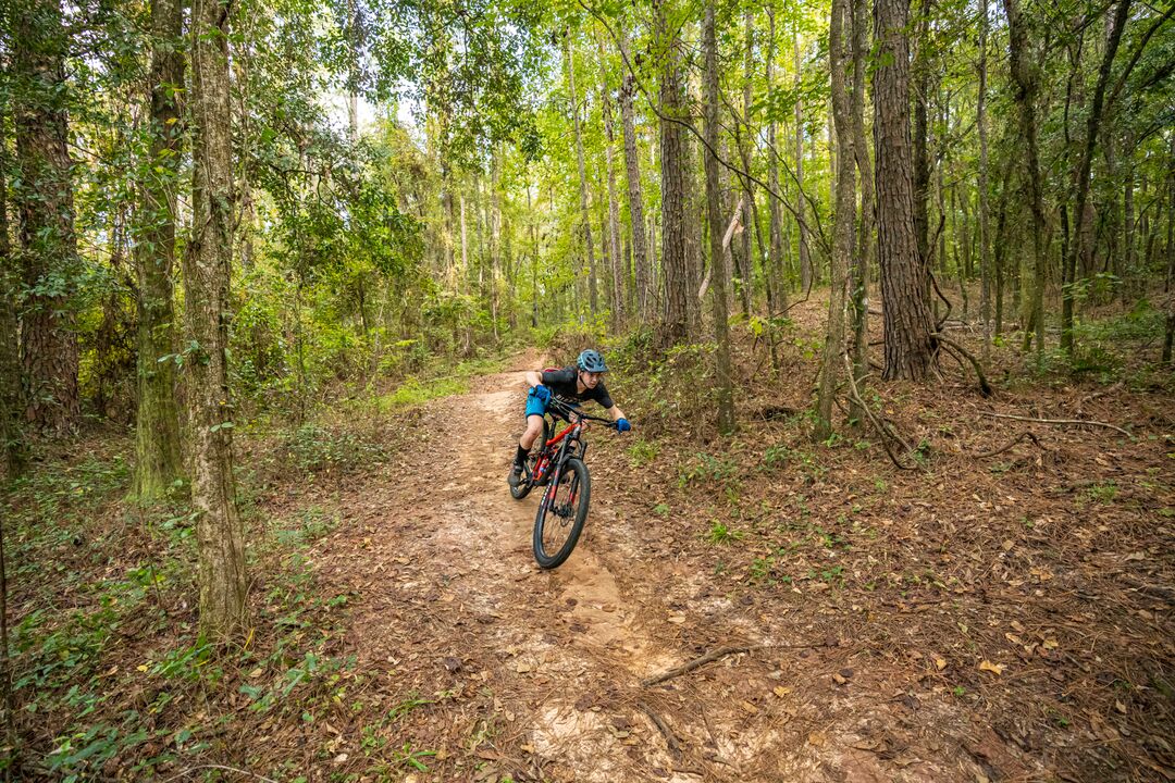 Mountain Biking