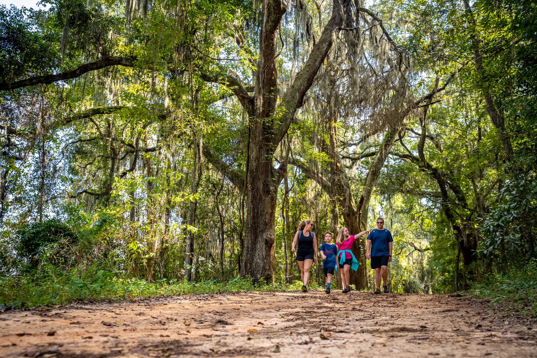 hiking trails