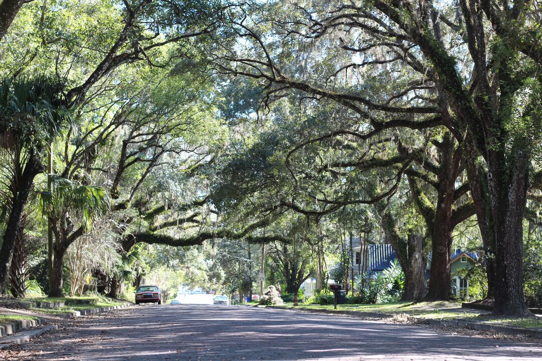 Brooksville Shady Street (2)