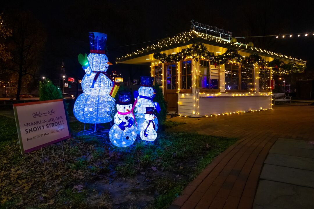 Electrical Spectacle at Franklin Square