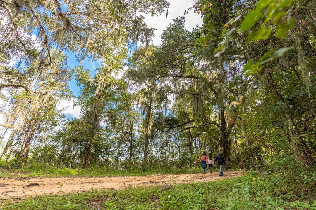 hiking trails