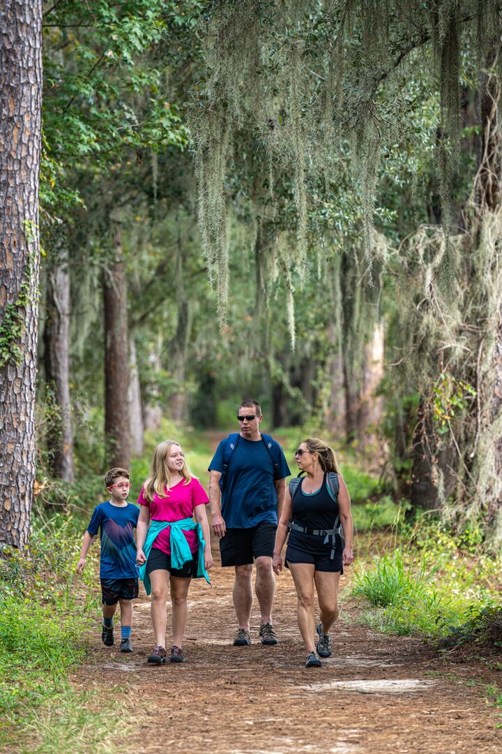 Hiking trails