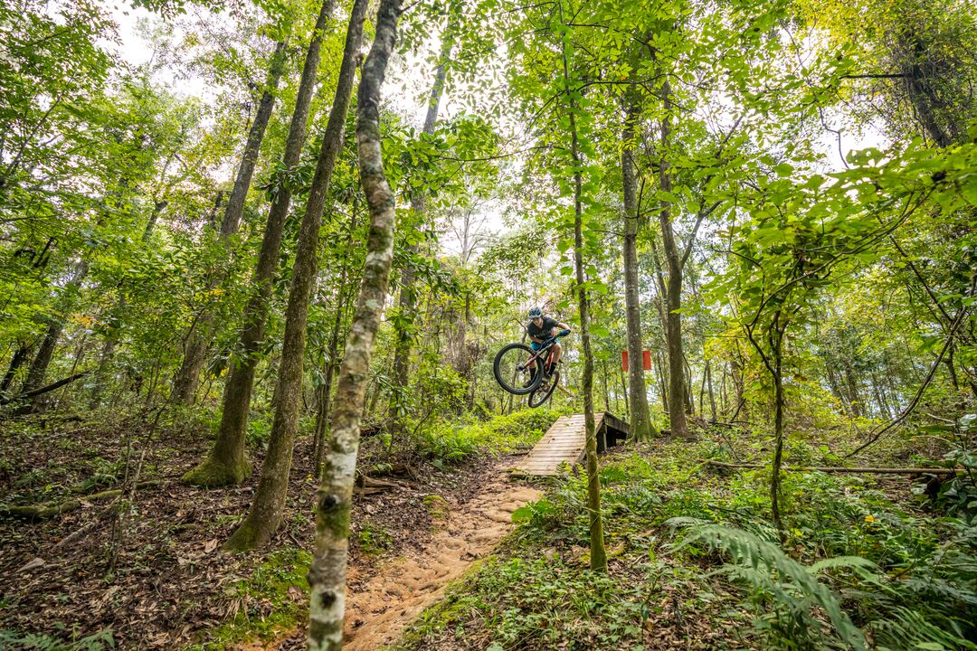 Mountain Biking