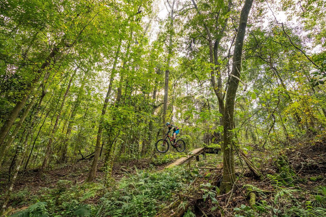 Mountain Biking