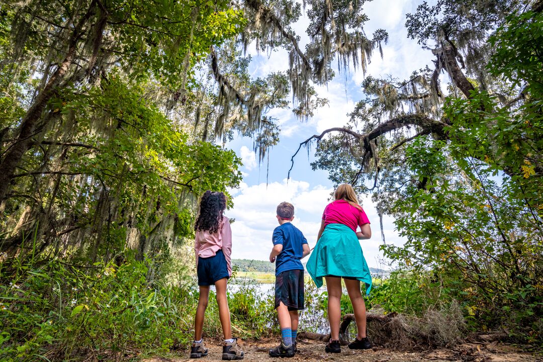 hiking trails