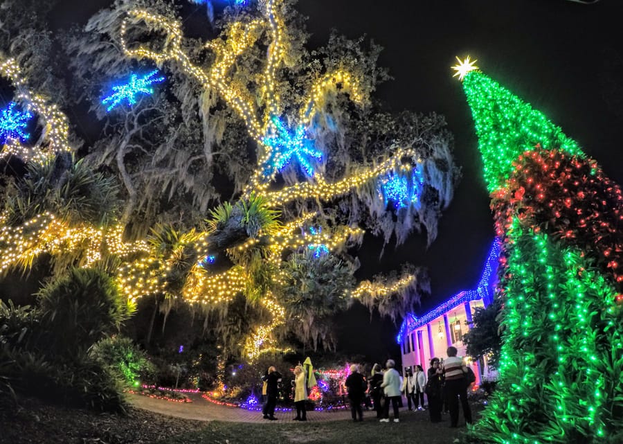 Selby Gardens Lights in Bloom