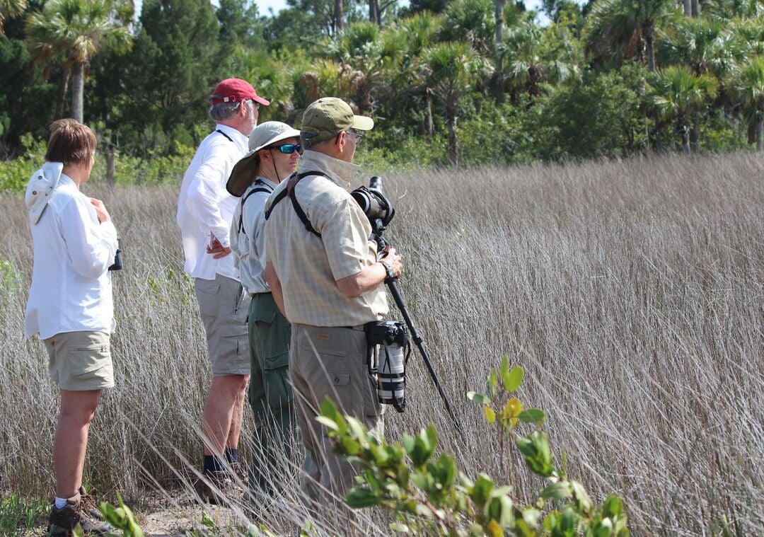 Copy of Birdwatching