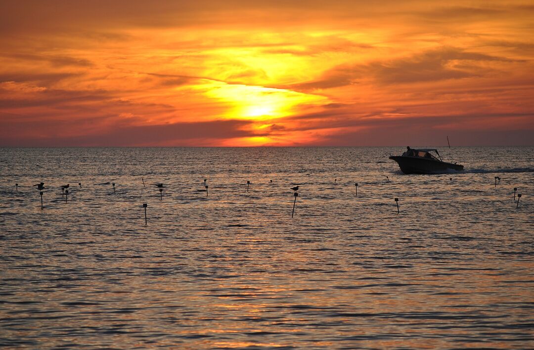 Sunset Channel Ride