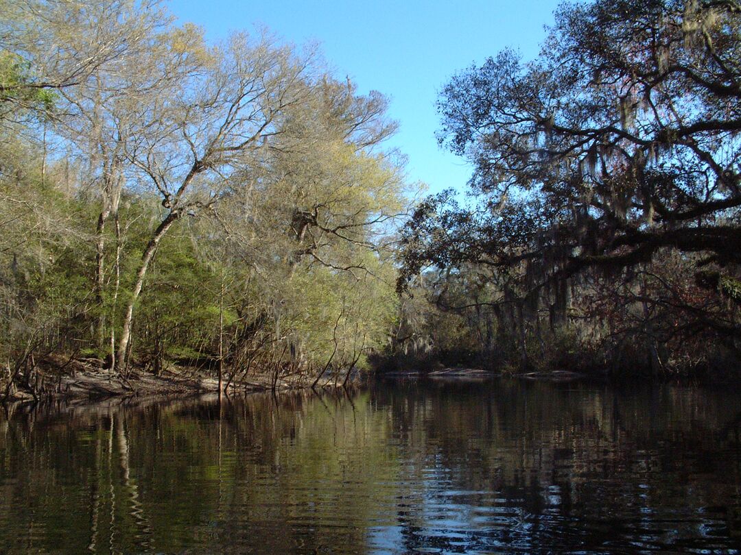 Withlacoochee River (Visitors Bureau)