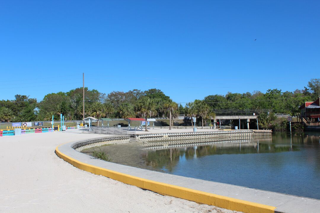 Rogers Park beach and swim area