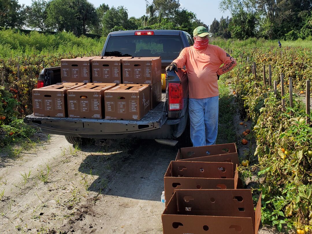 RNS-Gleaning-Harvest2 102320