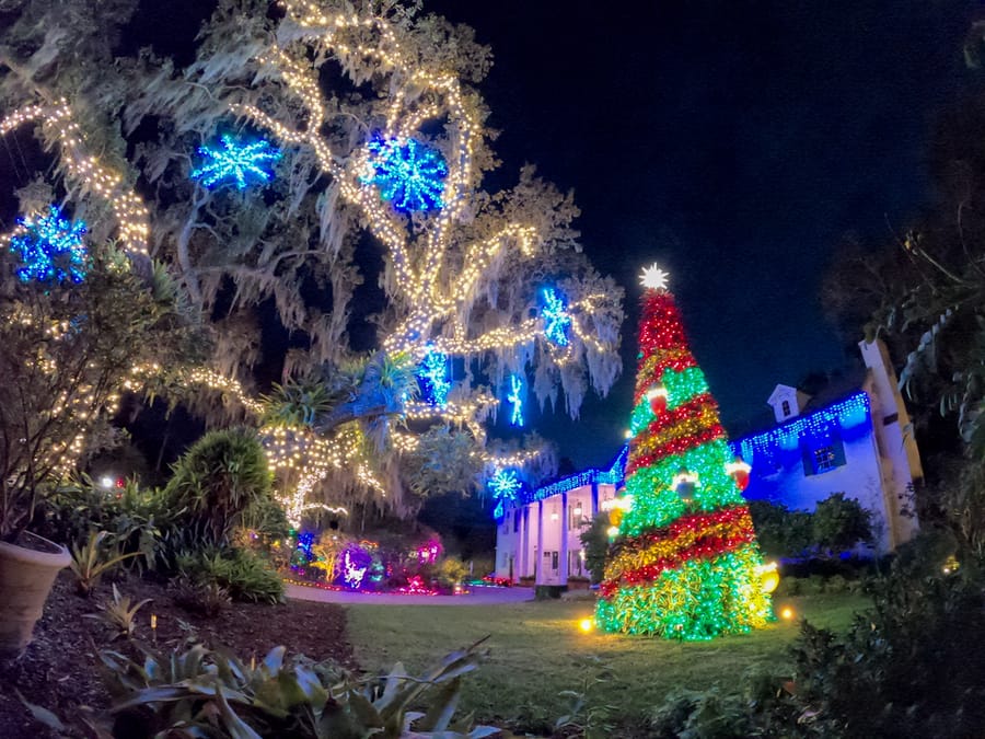 Selby Gardens Lights in Bloom