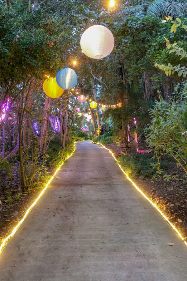 Selby Gardens Lights in Bloom