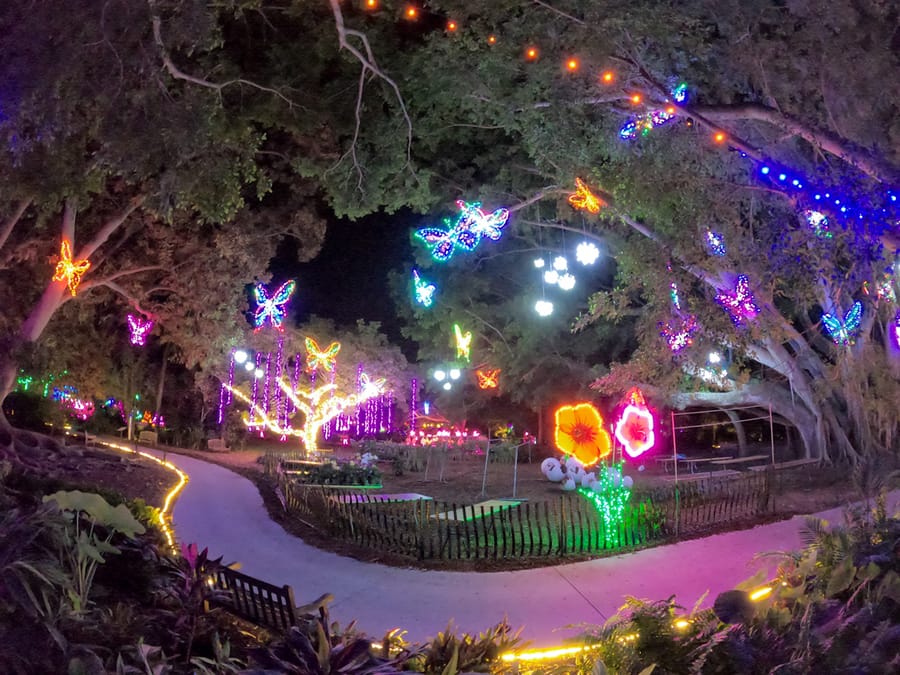 Selby Gardens Lights in Bloom