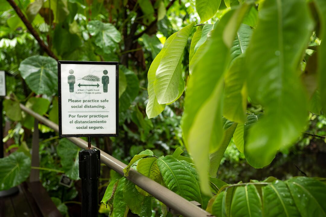 Naples Botanical Gardens-Outdoor Signage-1880309