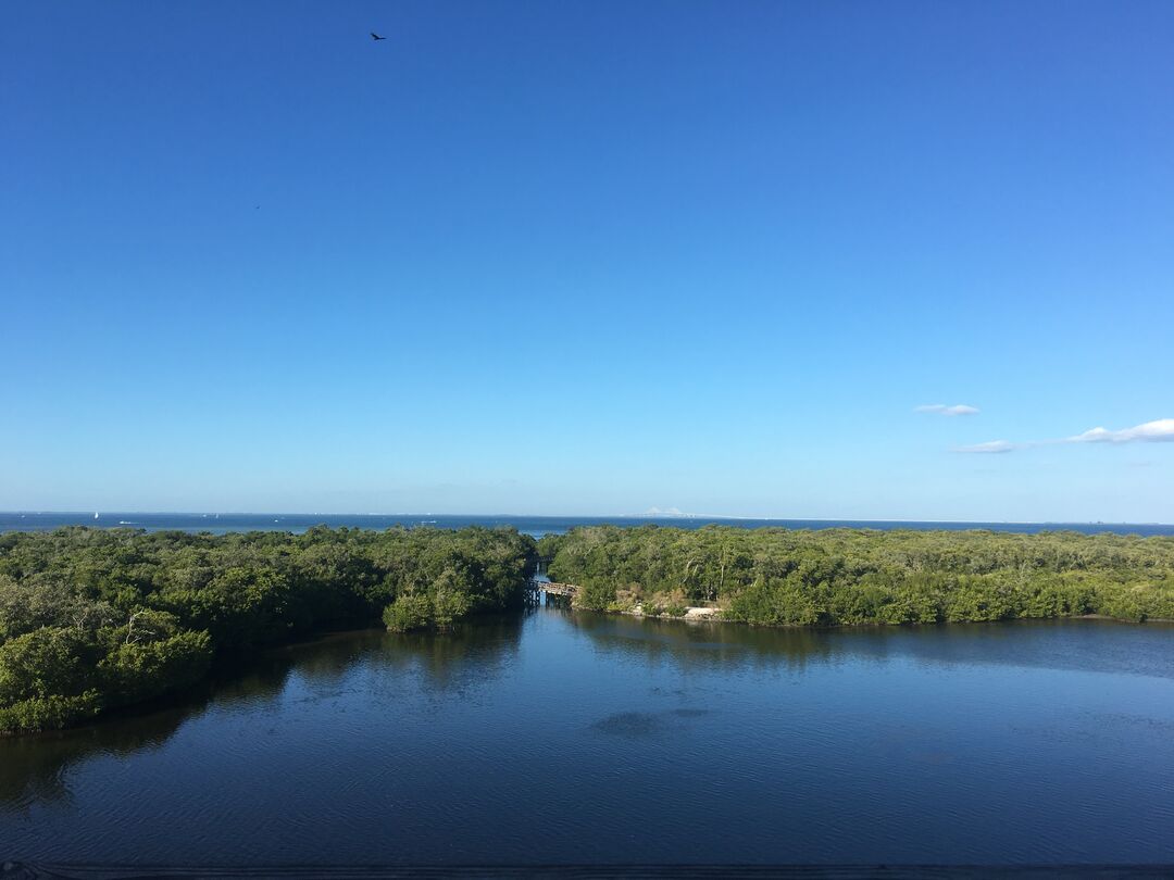 Robinson Preserve - View from Tower